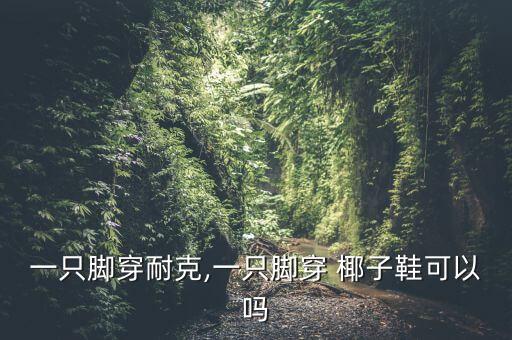 一只腳穿耐克,一只腳穿 椰子鞋可以嗎