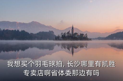 我想買個羽毛球拍, 長沙哪里有凱勝專賣店啊省體委那邊有嗎
