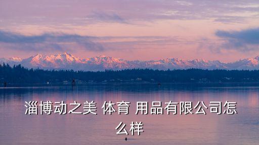  淄博動(dòng)之美 體育 用品有限公司怎么樣