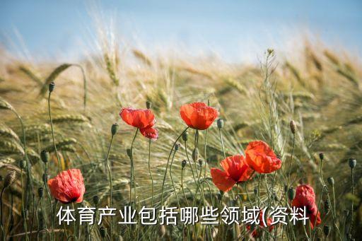  體育產(chǎn)業(yè)包括哪些領(lǐng)域(資料