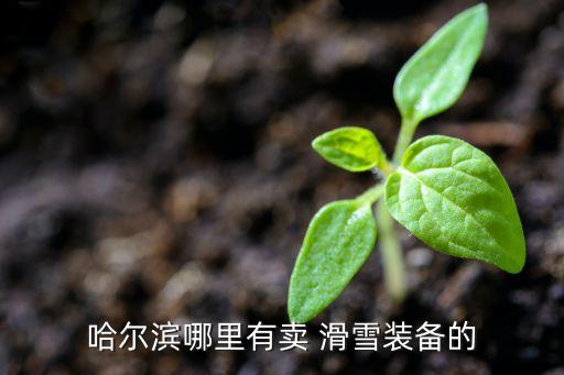 哈爾濱哪里有賣 滑雪裝備的
