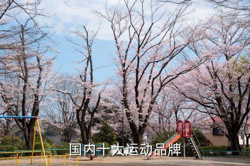 國內(nèi)十大運動品牌