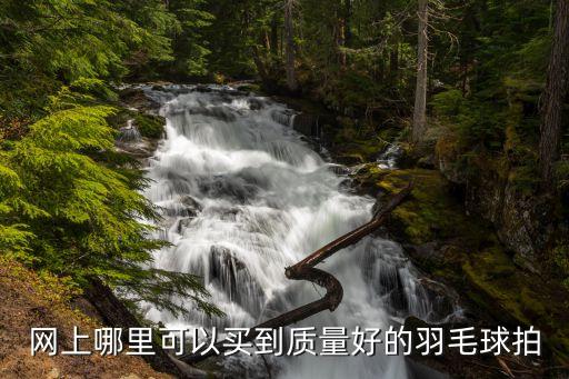 網(wǎng)上哪里可以買到質(zhì)量好的羽毛球拍