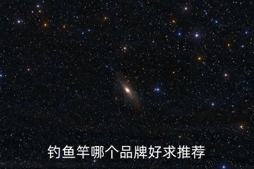 釣魚竿哪個(gè)品牌好求推薦