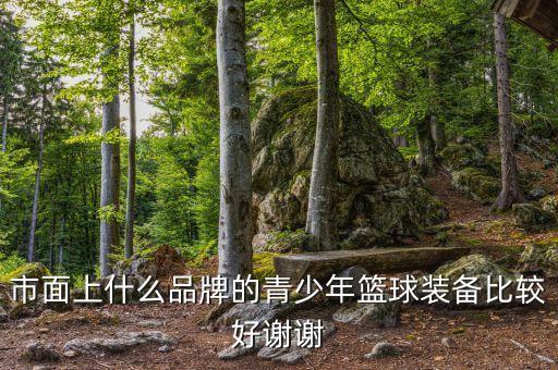 市面上什么品牌的青少年籃球裝備比較好謝謝