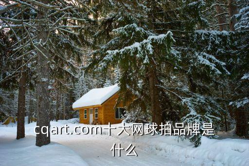 cqart.com十大網(wǎng)球拍品牌是什么
