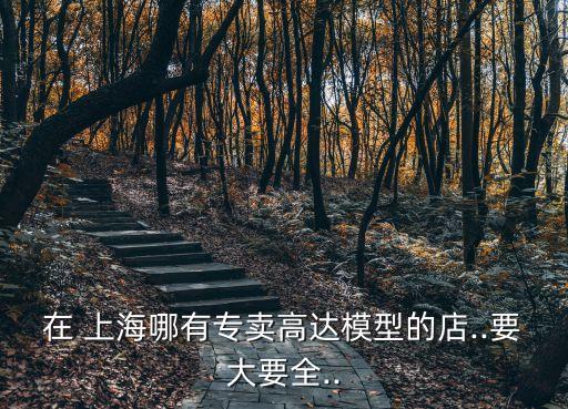 在 上海哪有專(zhuān)賣(mài)高達(dá)模型的店..要大要全..