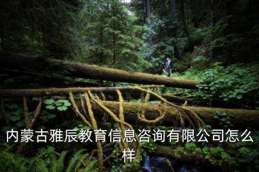 內蒙古雅辰教育信息咨詢有限公司怎么樣