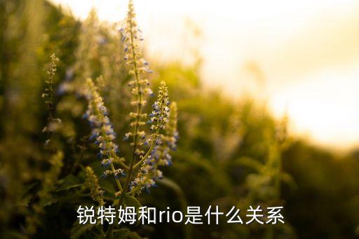  銳特姆和rio是什么關系