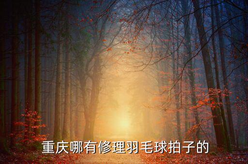 重慶天河體育用品,重慶消費者對體育用品的需求