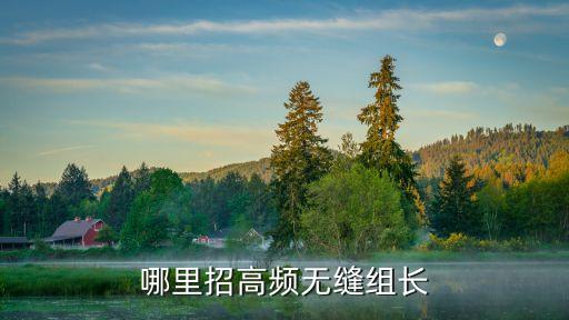 哪里招高頻無縫組長