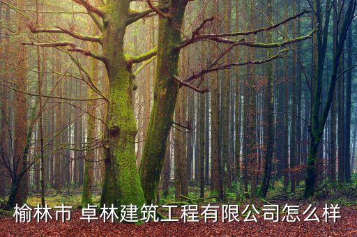 卓林體育用品