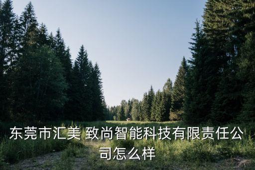 東莞市匯美 致尚智能科技有限責(zé)任公司怎么樣