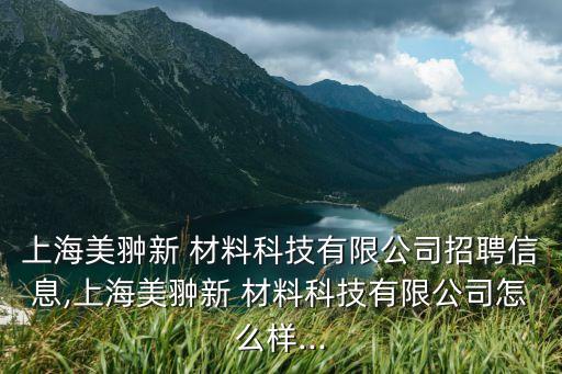 上海美翀新 材料科技有限公司招聘信息,上海美翀新 材料科技有限公司怎么樣...