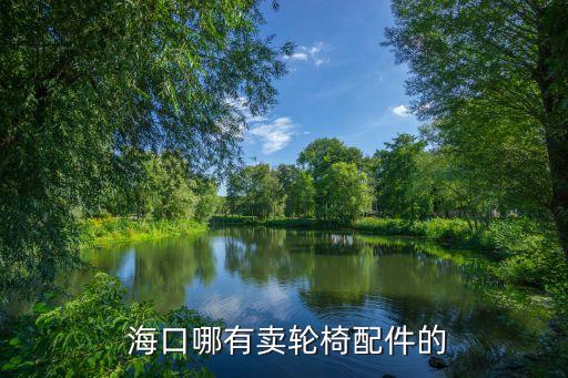  ?？谀挠匈u輪椅配件的