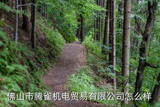 佛山市騰雀機電貿(mào)易有限公司怎么樣
