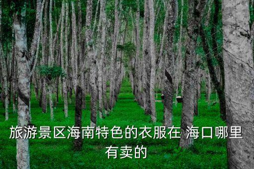 旅游景區(qū)海南特色的衣服在 ?？谀睦镉匈u的
