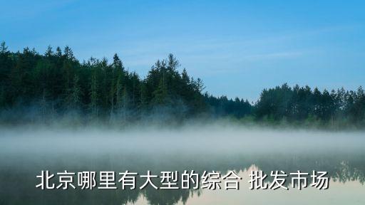 北京哪里有大型的綜合 批發(fā)市場(chǎng)