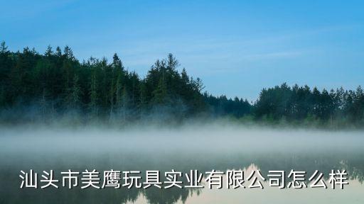  汕頭市美鷹玩具實業(yè)有限公司怎么樣