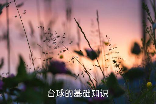 臺球的基礎(chǔ)知識