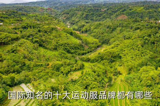國際知名的十大運動服品牌都有哪些