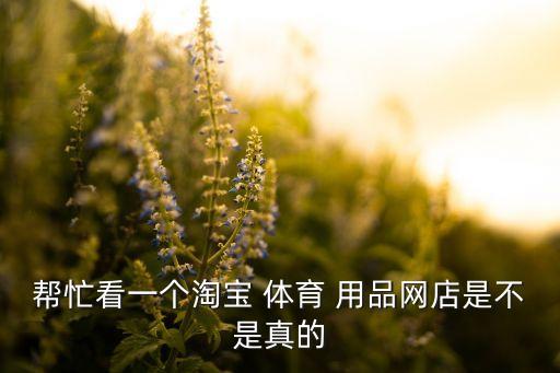 購買體育用品記錄,二年級數學購買體育用品