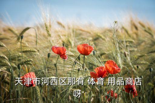  天津市河西區(qū)那有 體育 用品商店呀