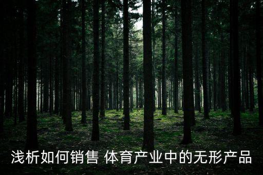 淺析如何銷售 體育產(chǎn)業(yè)中的無形產(chǎn)品