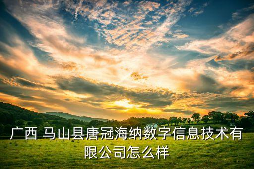 廣西 馬山縣唐冠海納數(shù)字信息技術(shù)有限公司怎么樣