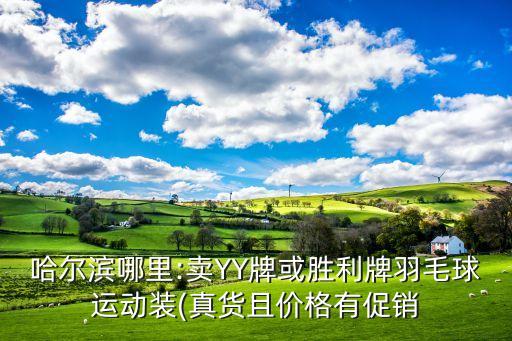 哈爾濱哪里:賣YY牌或勝利牌羽毛球運(yùn)動裝(真貨且價(jià)格有促銷