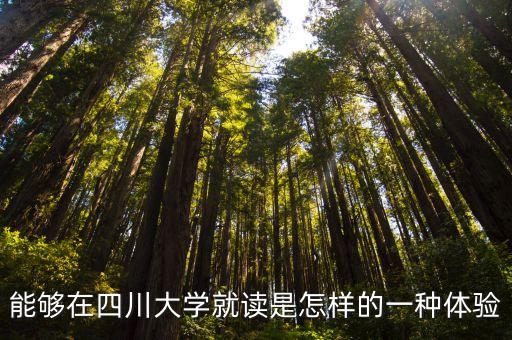 能夠在四川大學(xué)就讀是怎樣的一種體驗