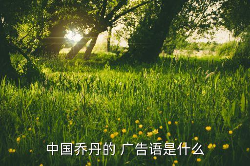 中國(guó)喬丹的 廣告語(yǔ)是什么