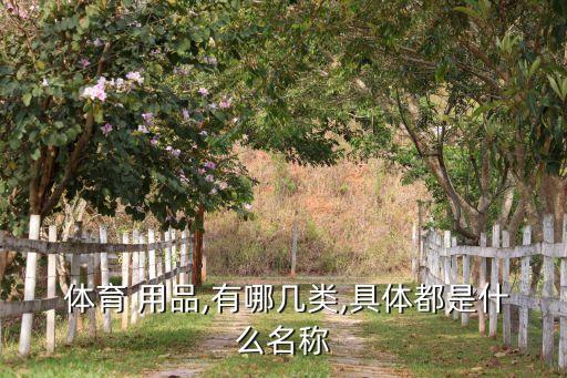 小體育用品有哪些,體育用品有哪些二年級上冊
