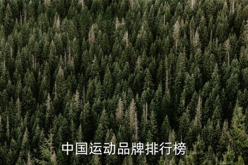 中國運(yùn)動(dòng)品牌排行榜