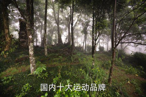 網(wǎng)絡(luò)流行體育用品圖片