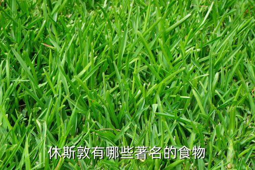 美國(guó)休斯頓體育用品店