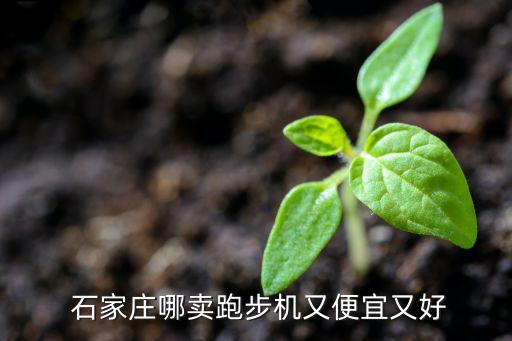  石家莊哪賣跑步機又便宜又好
