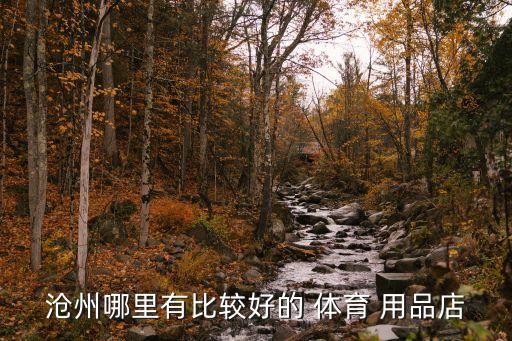 433體育用品地址,上海市體育用品總店的地址