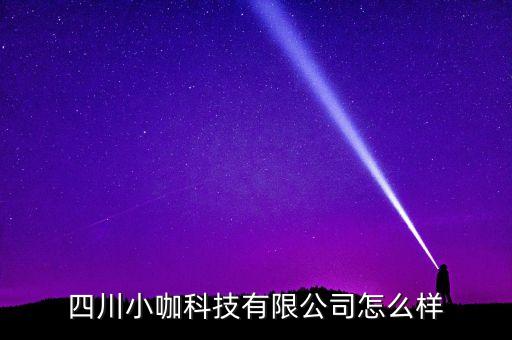 四川小咖科技有限公司怎么樣