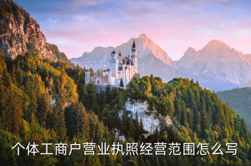 個體工商戶營業(yè)執(zhí)照經(jīng)營范圍怎么寫