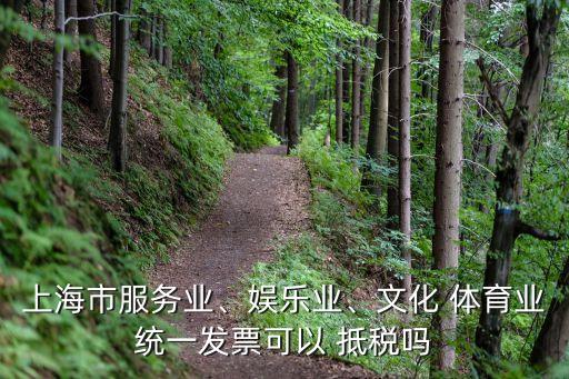 上海市服務(wù)業(yè)、娛樂業(yè)、文化 體育業(yè)統(tǒng)一發(fā)票可以 抵稅嗎