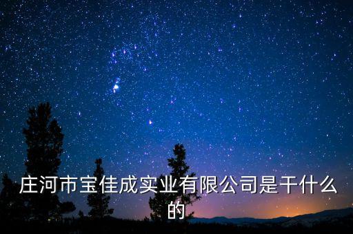  莊河市寶佳成實(shí)業(yè)有限公司是干什么的