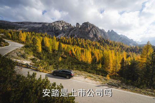 安踏是上市公司嗎