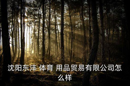 沈陽東灃 體育 用品貿(mào)易有限公司怎么樣