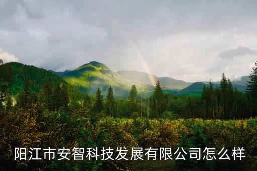  陽江市安智科技發(fā)展有限公司怎么樣