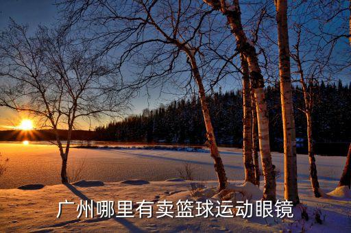 廣州哪里有賣籃球運動眼鏡