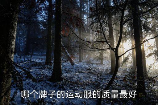 哪個(gè)牌子的運(yùn)動(dòng)服的質(zhì)量最好