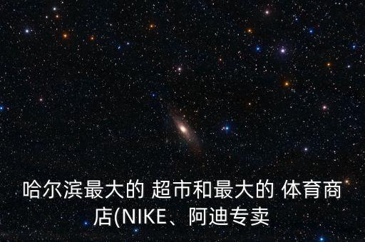 哈爾濱最大的 超市和最大的 體育商店(NIKE、阿迪專賣