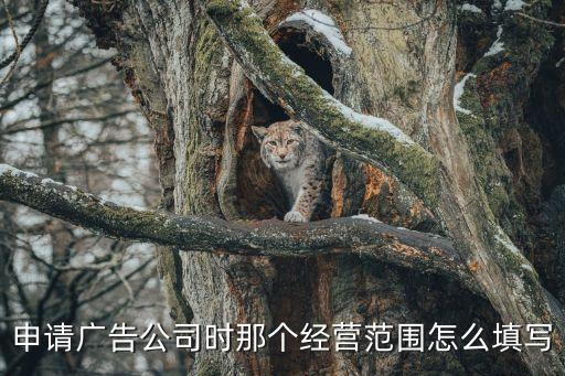 申請廣告公司時那個經(jīng)營范圍怎么填寫