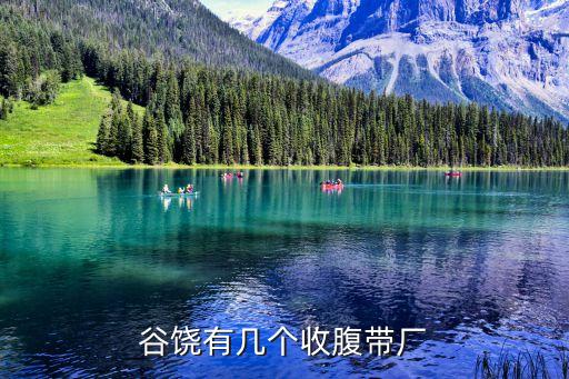 谷饒有幾個收腹帶廠